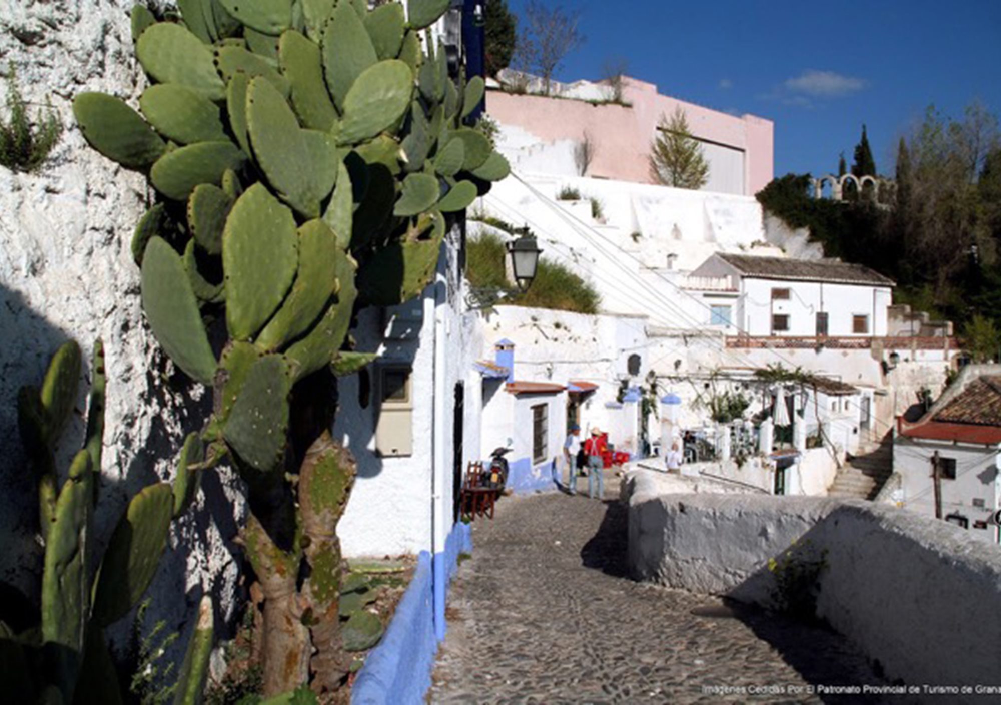 booking guided visits Walking Sacromonte Heritage Culture Flamenco in Granada old district